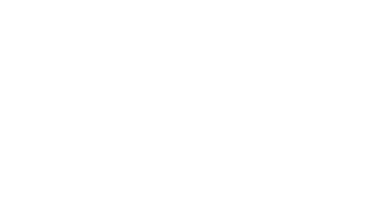 Logo NetExtreme